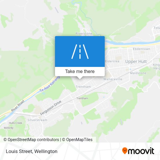 Louis Street map