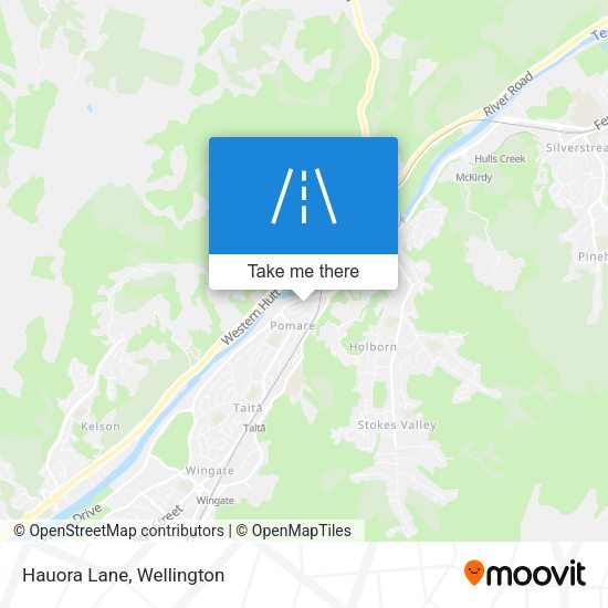 Hauora Lane map