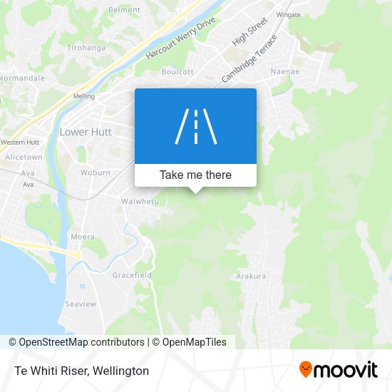 Te Whiti Riser map