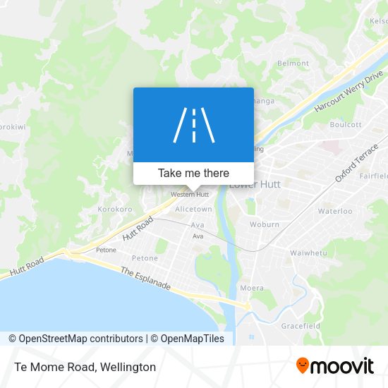 Te Mome Road map