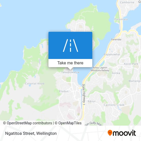 Ngatitoa Street map