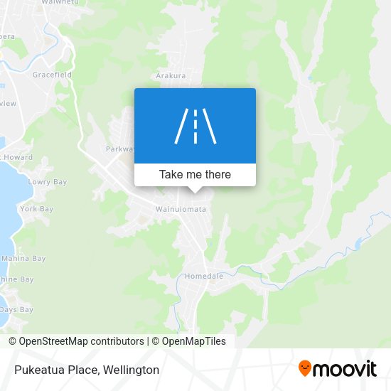 Pukeatua Place map