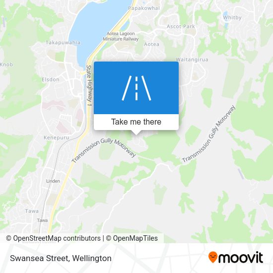 Swansea Street map