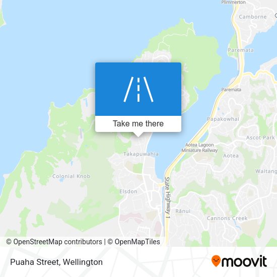 Puaha Street map