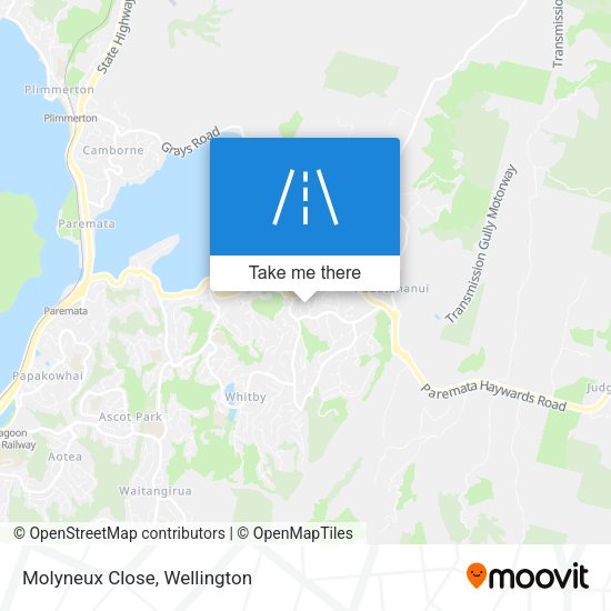 Molyneux Close map