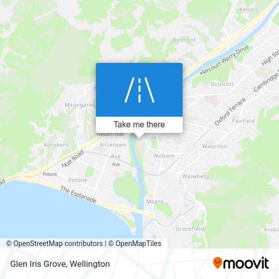 Glen Iris Grove map