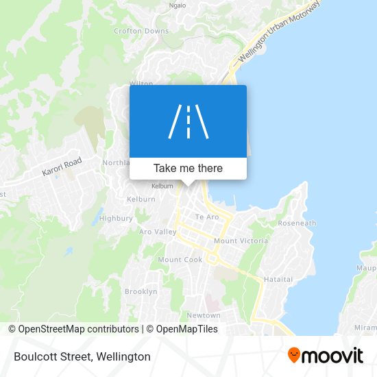 Boulcott Street map