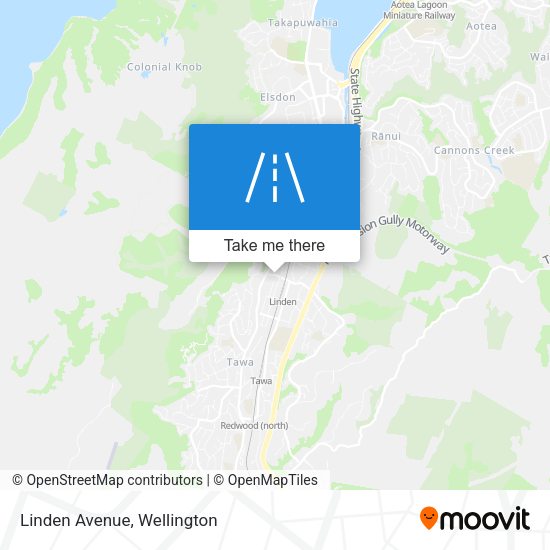 Linden Avenue map