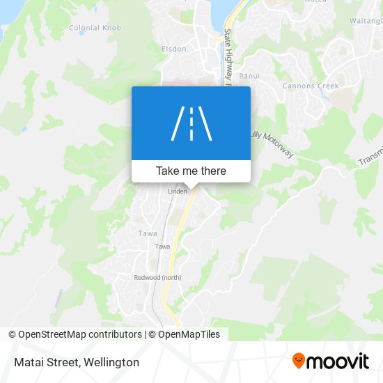 Matai Street map