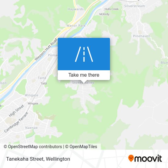 Tanekaha Street map