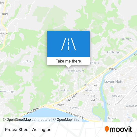 Protea Street map