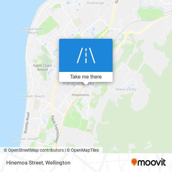 Hinemoa Street map