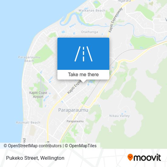 Pukeko Street map