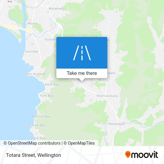 Totara Street map