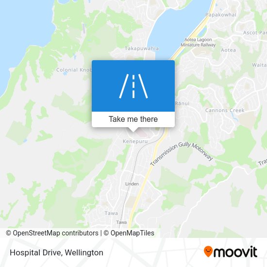 Hospital Drive map