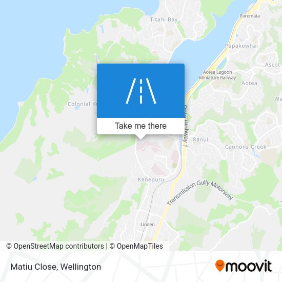 Matiu Close map