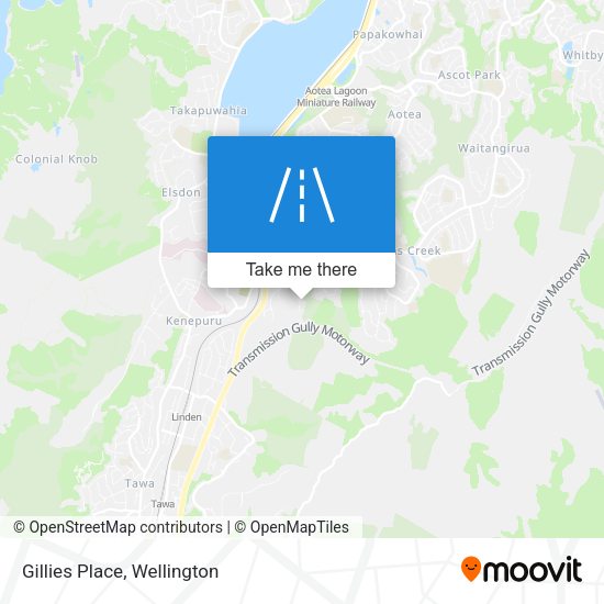 Gillies Place map