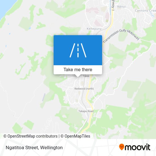 Ngatitoa Street map