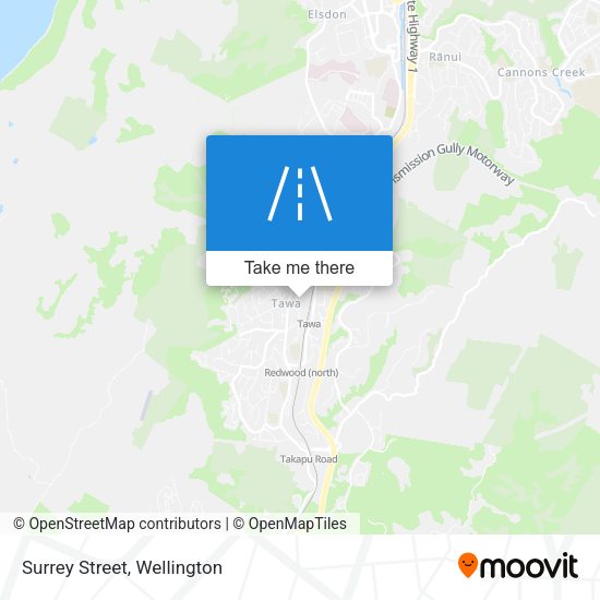 Surrey Street map
