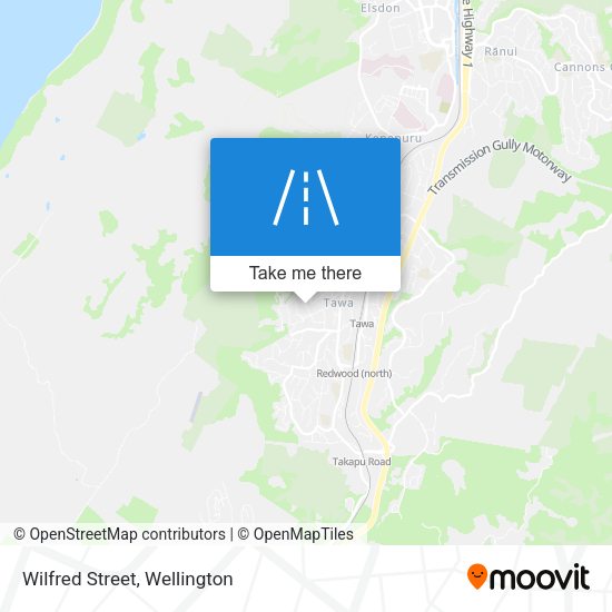 Wilfred Street map