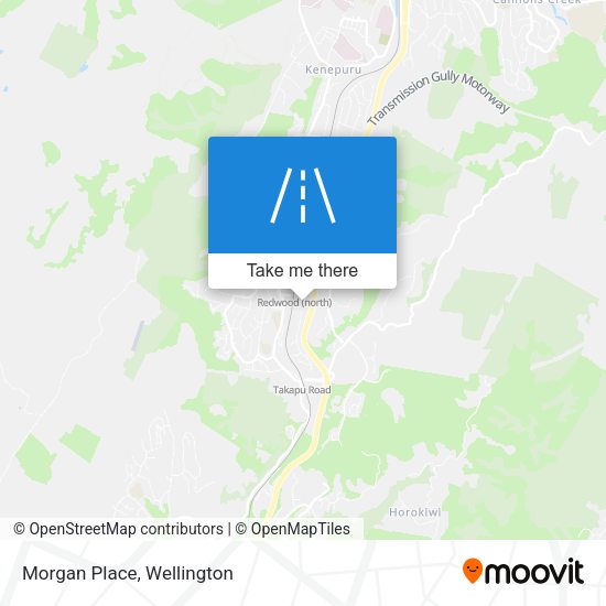 Morgan Place map