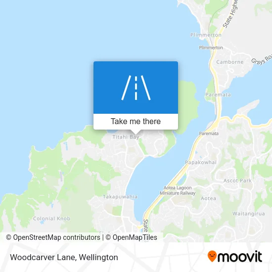 Woodcarver Lane map