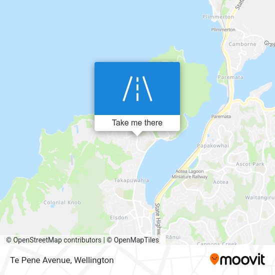 Te Pene Avenue map