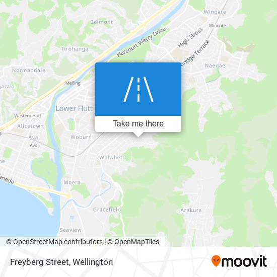 Freyberg Street map