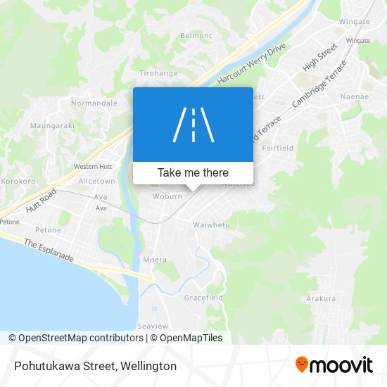 Pohutukawa Street map