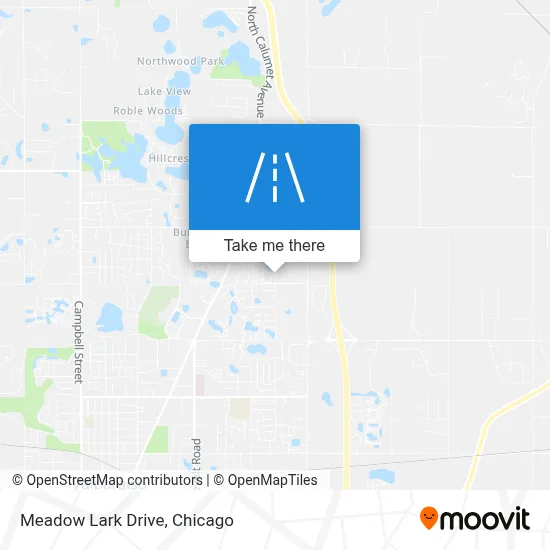 Meadow Lark Drive map
