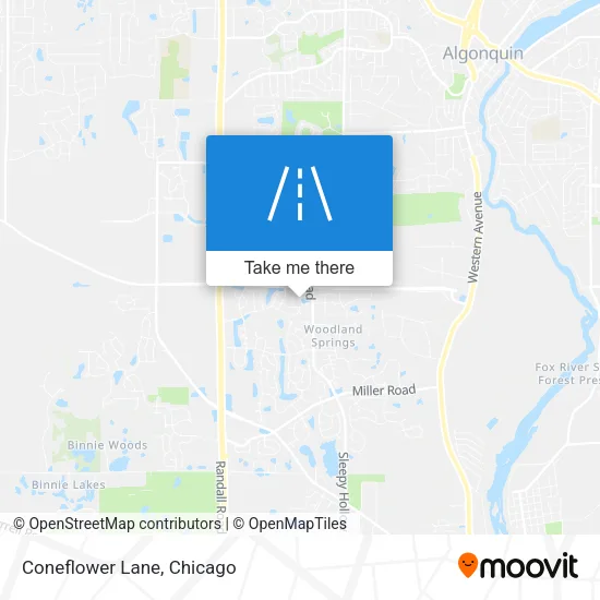 Coneflower Lane map