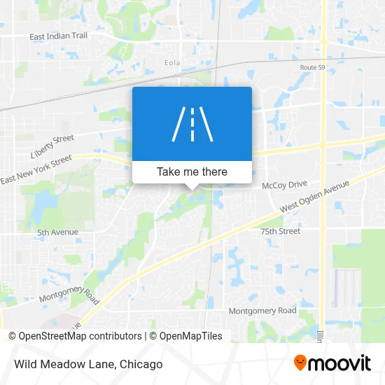 Wild Meadow Lane map