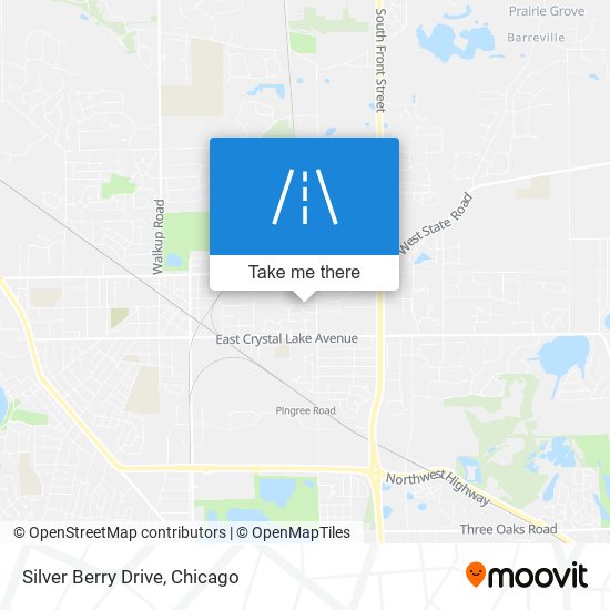 Silver Berry Drive map