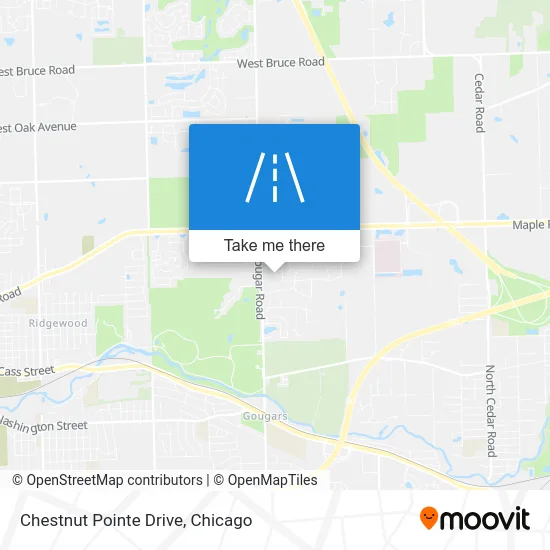 Chestnut Pointe Drive map