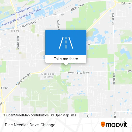 Pine Needles Drive map