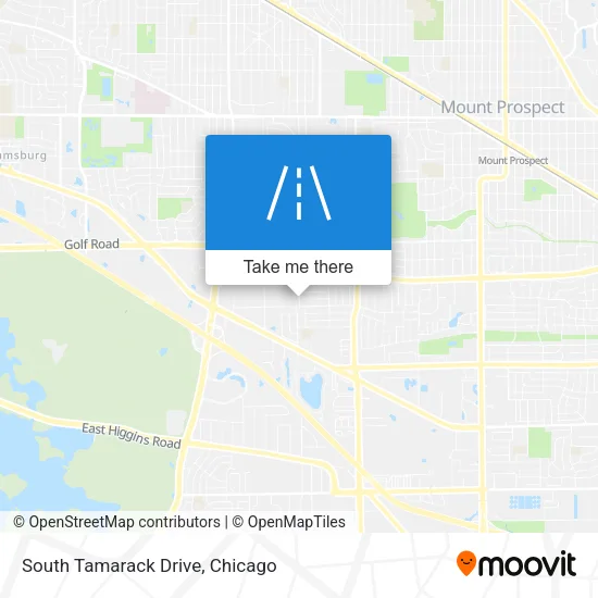 South Tamarack Drive map