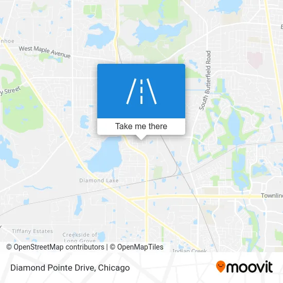 Diamond Pointe Drive map