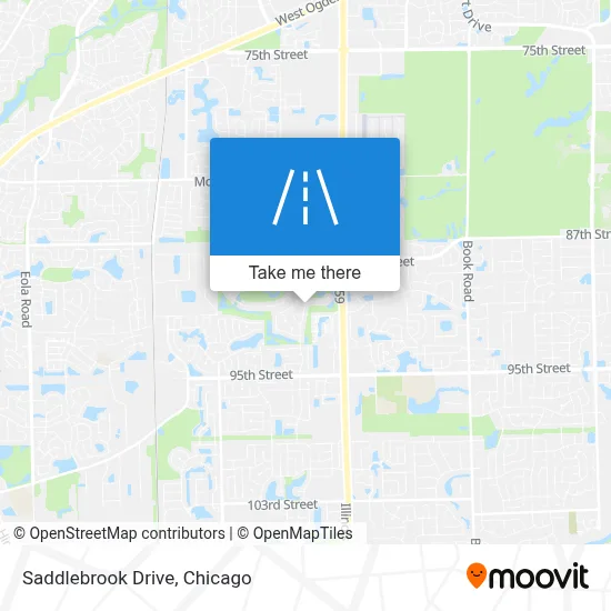 Saddlebrook Drive map