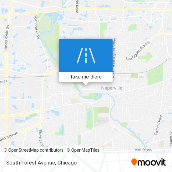 Mapa de South Forest Avenue