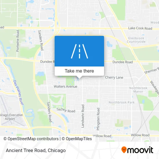 Ancient Tree Road map