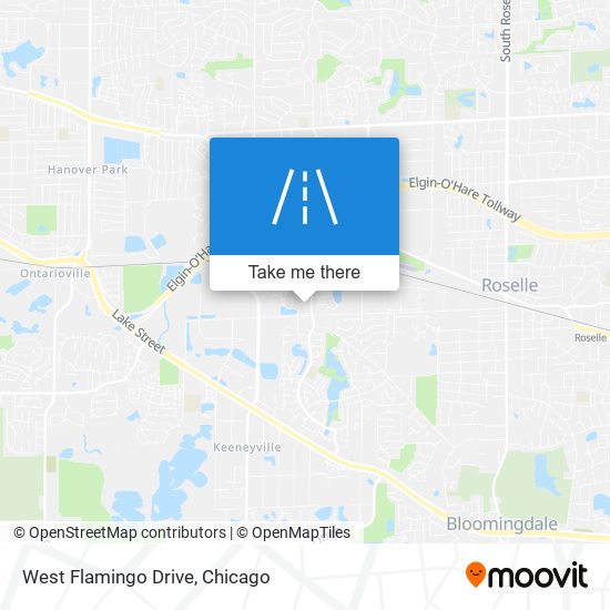 West Flamingo Drive map