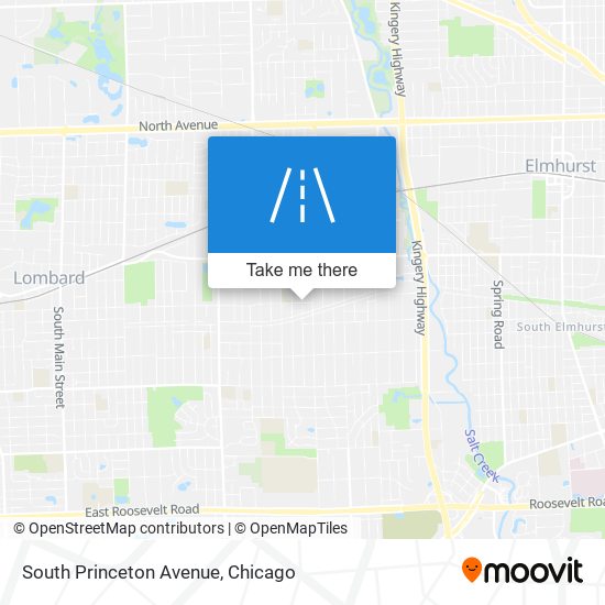 South Princeton Avenue map