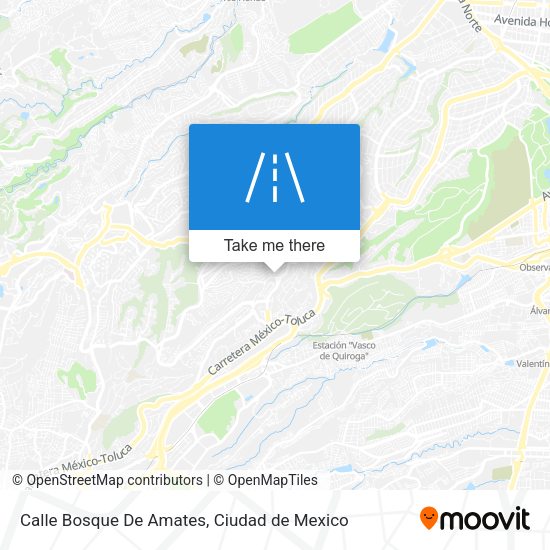 Calle Bosque De Amates map