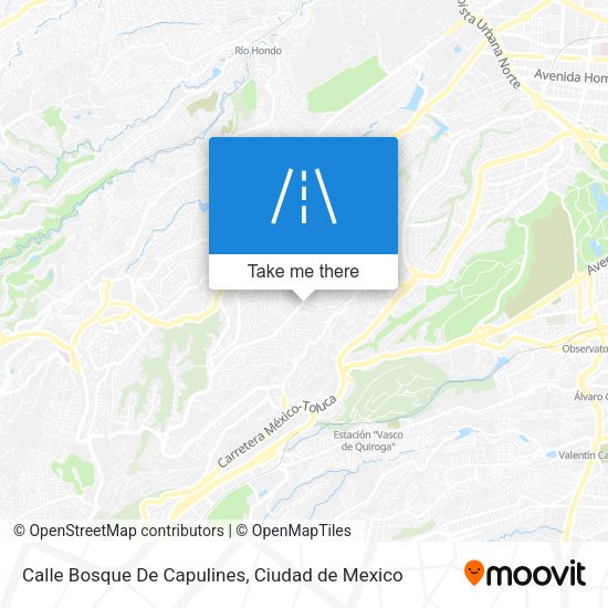 Calle Bosque De Capulines map