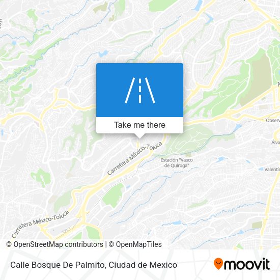 Mapa de Calle Bosque De Palmito