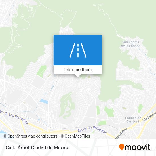 Calle Árbol map