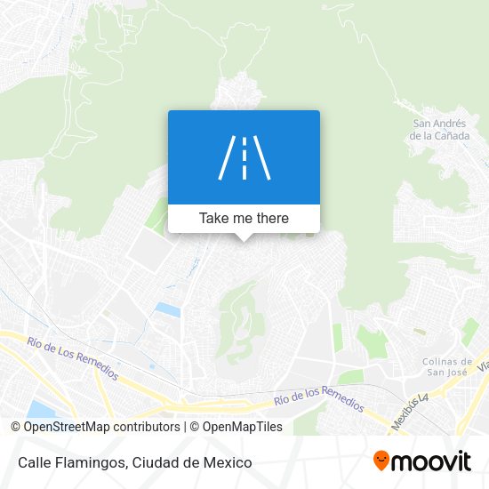 Mapa de Calle Flamingos