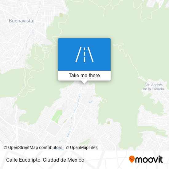 Calle Eucalipto map