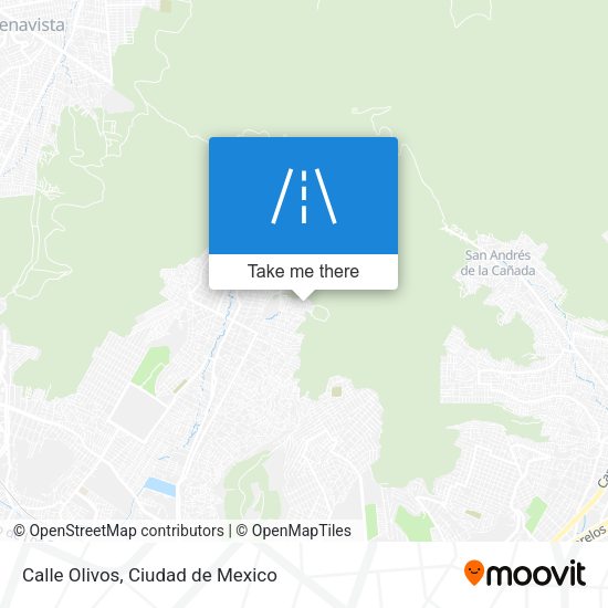 Calle Olivos map