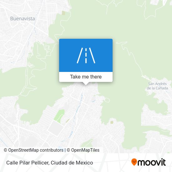 Calle Pilar Pellicer map